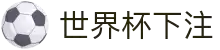 2026世界杯买球首页 - 世界杯入口